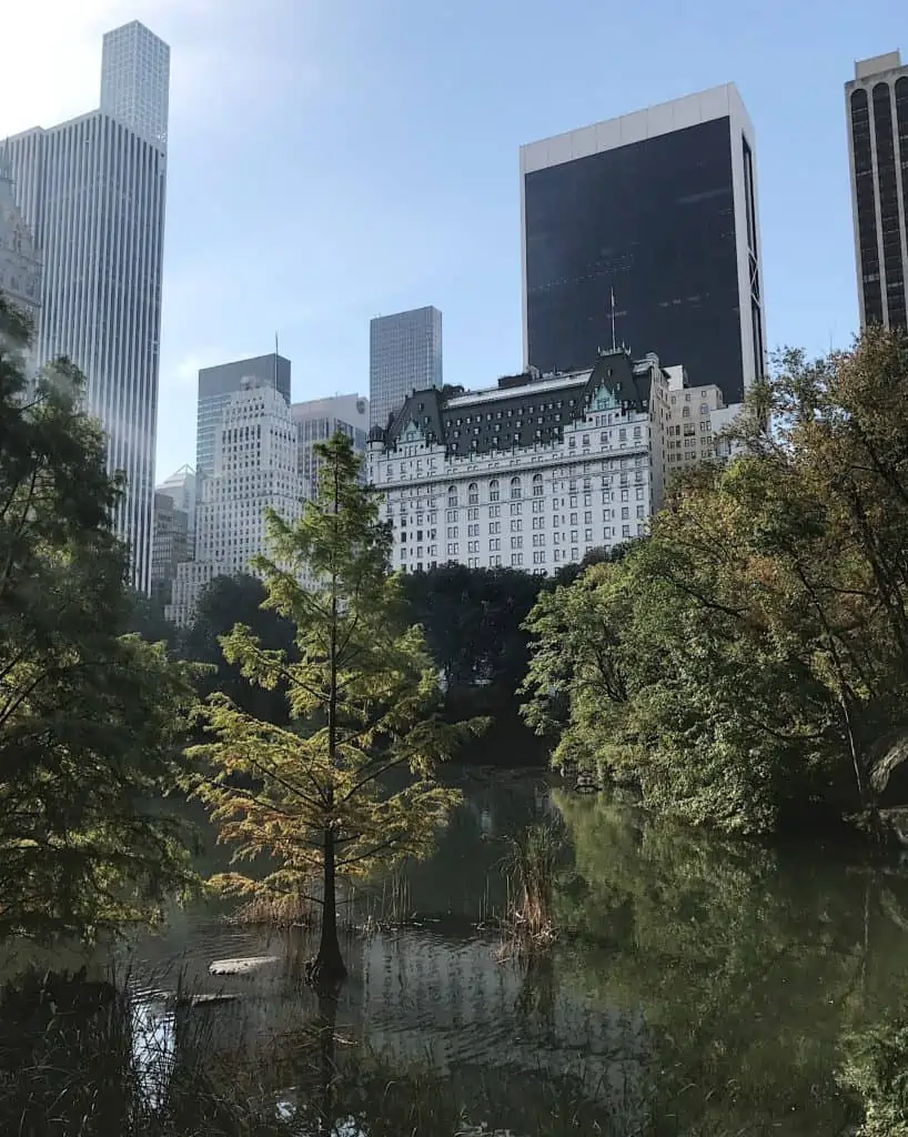 view of the plaza in central park