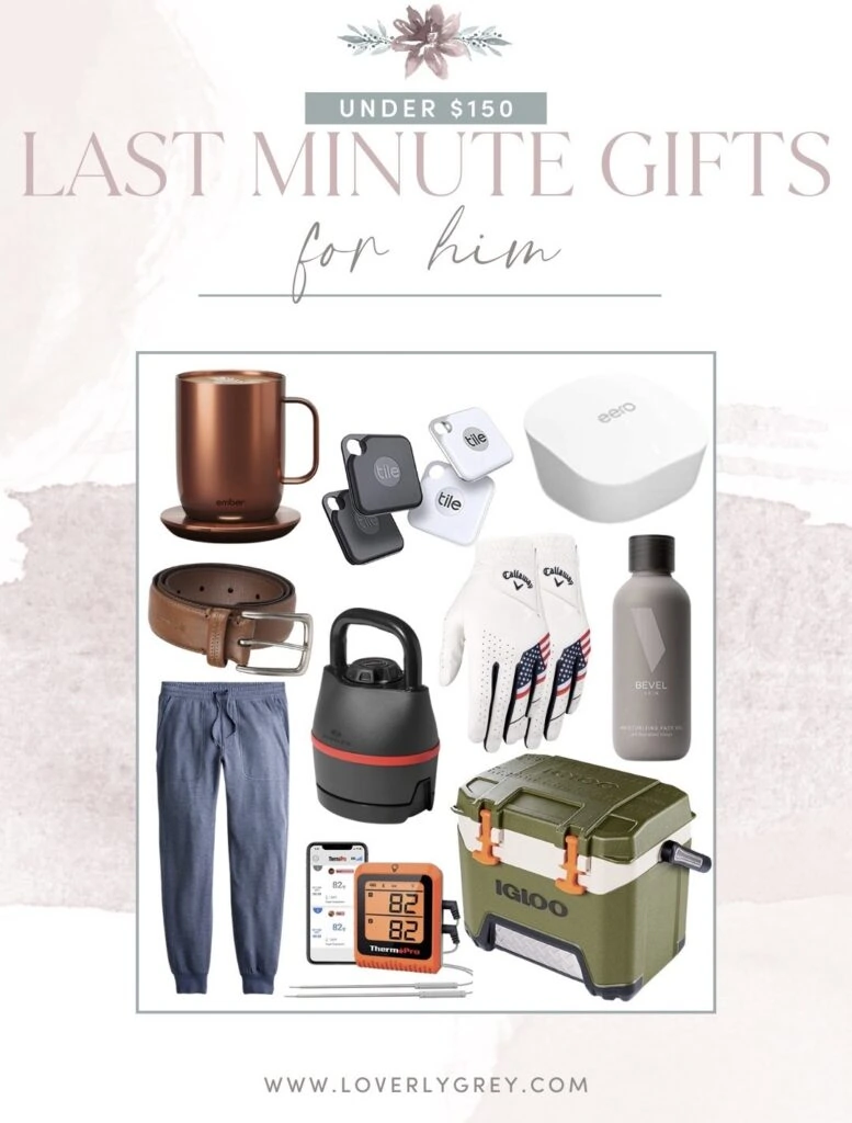 Under $20 Gift Guide • One Lovely Life